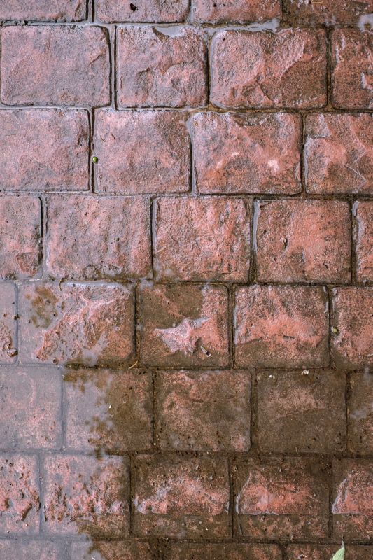 Decorative Concrete Repair in Arvada, CO
