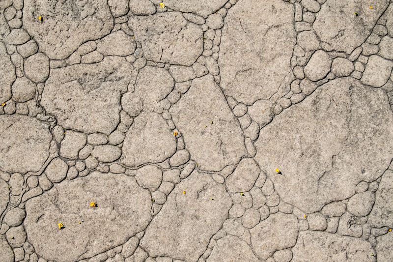 Decorative Concrete Repair in Canton, MI
